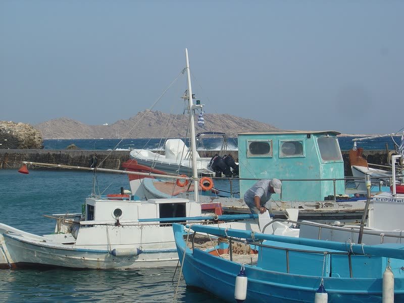Colourful fishing boats moored in a Paros harbour